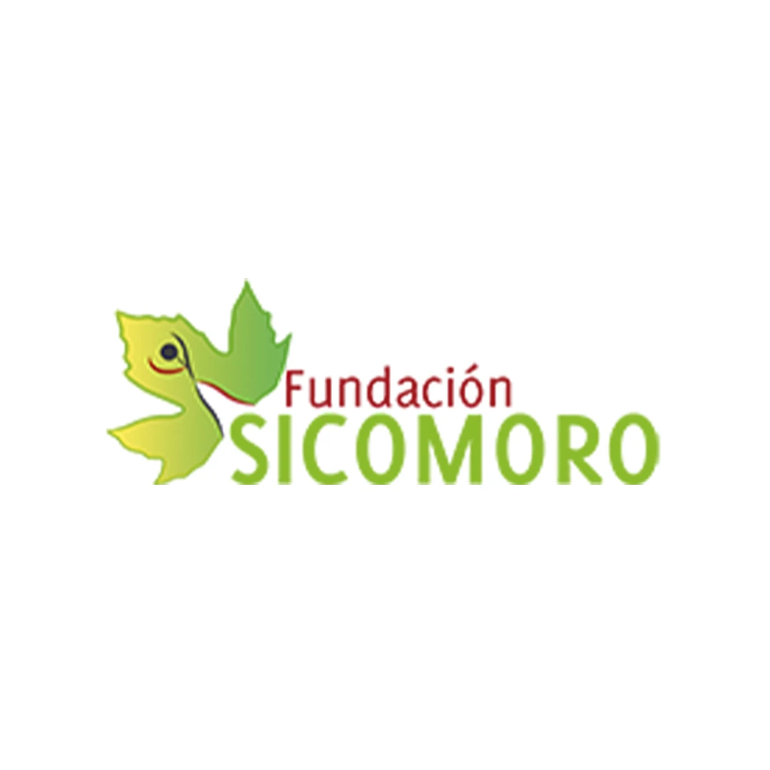 fundacion sicomoro gasset